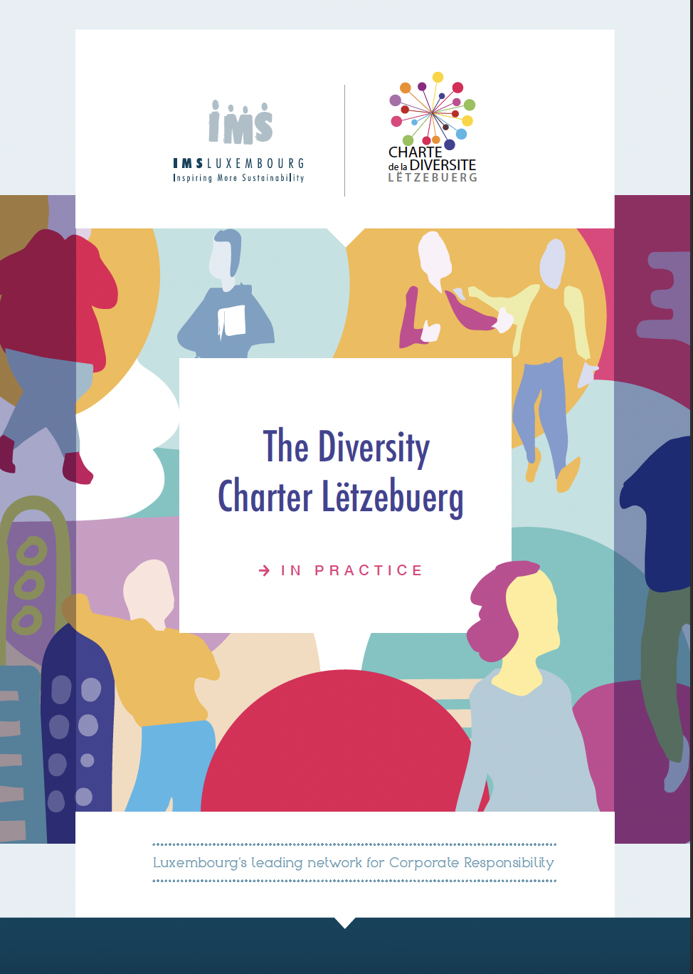 Diversity Charter Lëtzebuerg, in practice
